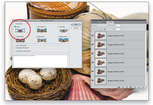 Extended Depth of Field With Auto-Blend Layers in Photoshop CS4 image 6