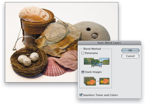Extended Depth of Field With Auto-Blend Layers in Photoshop CS4 image 7