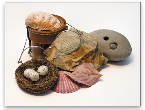 Extended Depth of Field With Auto-Blend Layers in Photoshop CS4 image 9