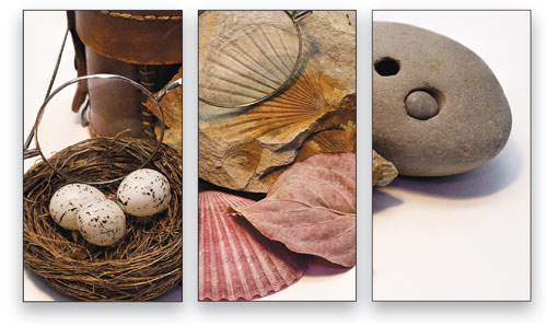 Extended Depth of Field With Auto-Blend Layers in Photoshop CS4 image 10
