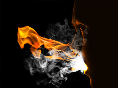 image 28