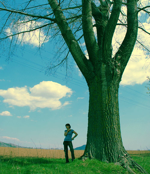 Cross Processing using Photoshop Tutorial: Final Result