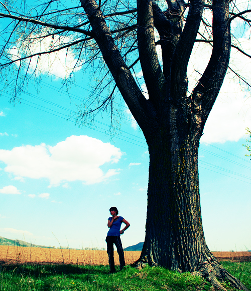 Cross Processing using Photoshop image 6