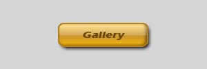Golden Web Button Tutorial: Final Result