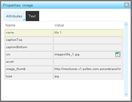 A Web CMS for XML Based Flash Websites