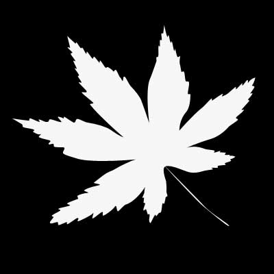 Magic Leaf image 2