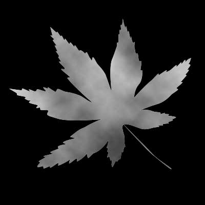 Magic Leaf image 3