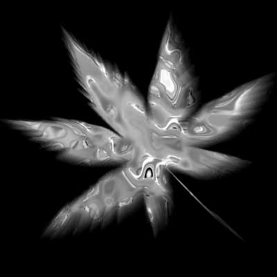 Magic Leaf image 7