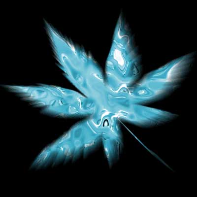Magic Leaf image 9