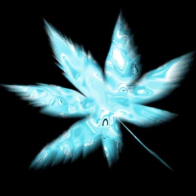 Magic Leaf image 10