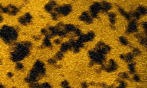 Leopard Texture in Photoshop image 11