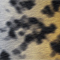 Material Image