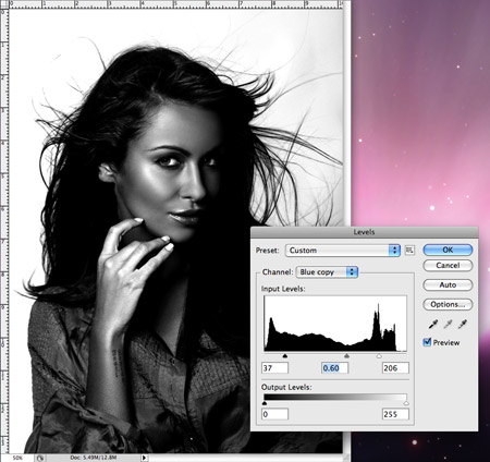 Handy Techniques for Cutting Out Hair in Photoshop image 3