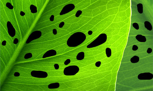 How to Make Realistic Dew image 1