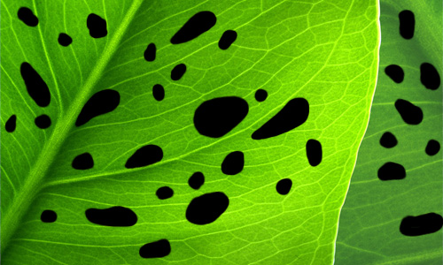How to Make Realistic Dew image 3