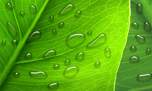 How to Make Realistic Dew image 8