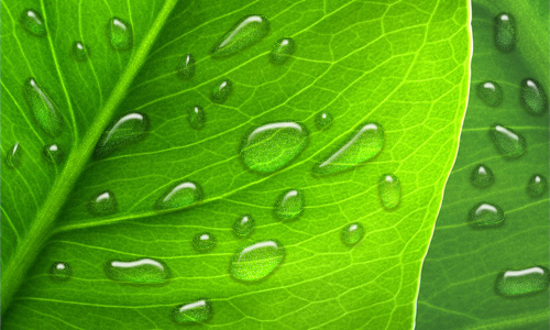 How to Make Realistic Dew image 16