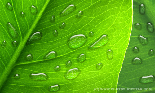 How to Make Realistic Dew Tutorial: Final Result