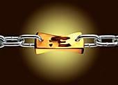The Golden Standard in Link Building Services