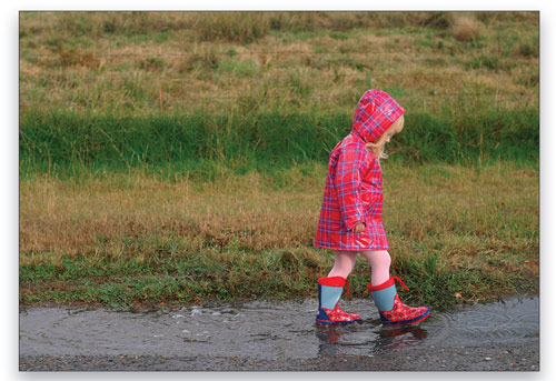Remove Elements From a Photo in Photoshop CS4 Tutorial: Final Result