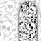 Click to read this material