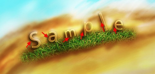 image 23