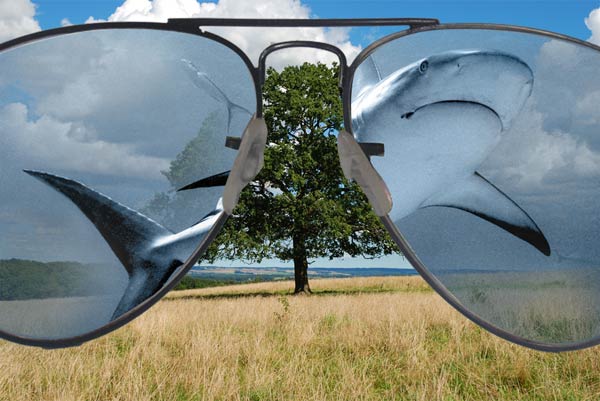 Create an Abstract Sea on Land Illusion image 9
