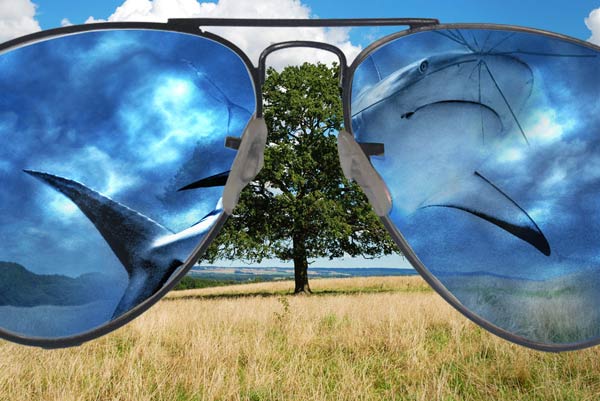 Create an Abstract Sea on Land Illusion image 19