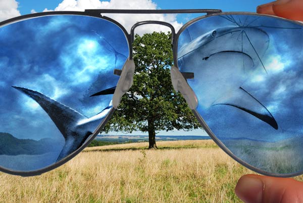 Create an Abstract Sea on Land Illusion image 20