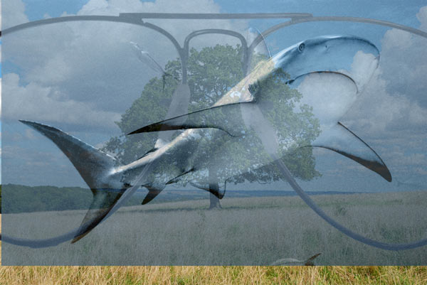 Create an Abstract Sea on Land Illusion image 3