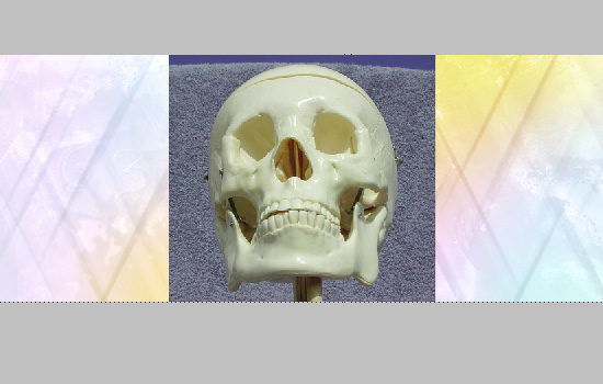 Skull Board Walkthrough image 10