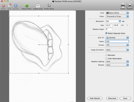 Create a Rolling Stones Inspired Tongue Illustration image 2