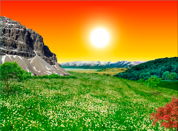 image 32
