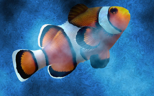 Underwater Effect with Unusual Techniques image 11