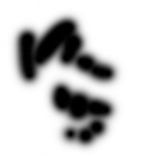 image 34