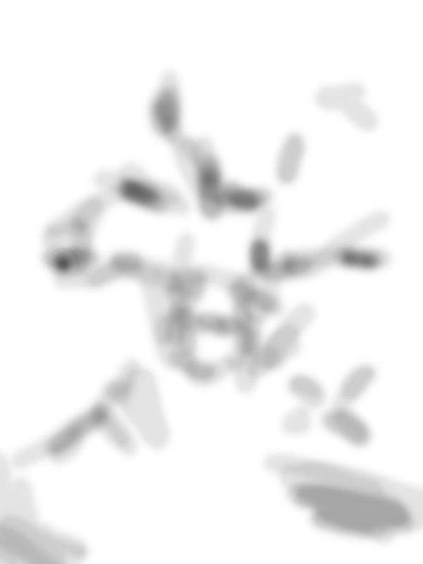 image 30