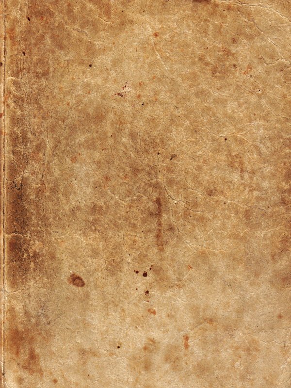 image 37