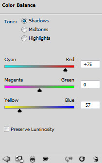 image 51