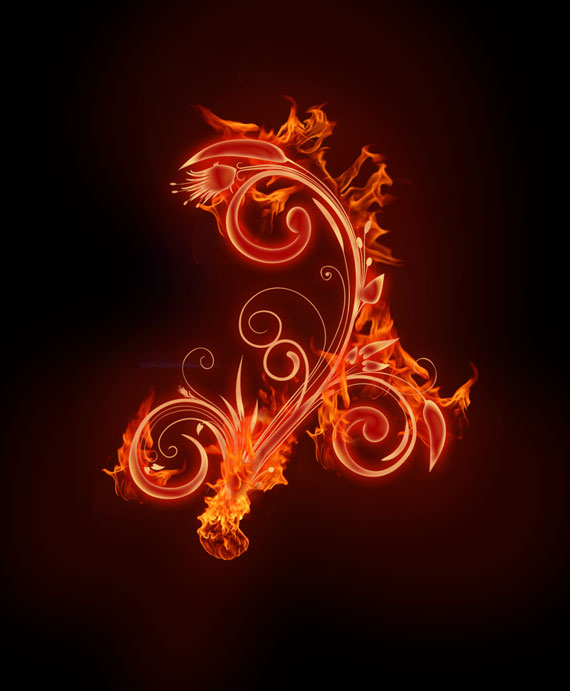 image 22