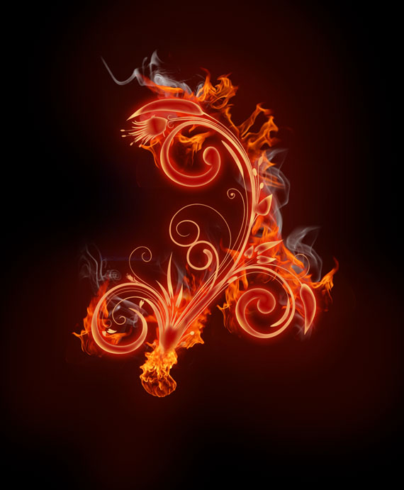 image 24