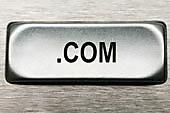 The Perfect Domain Name: The Importance for SEO Benefits
