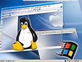 Difference Between Linux and Windows Shared Hosting