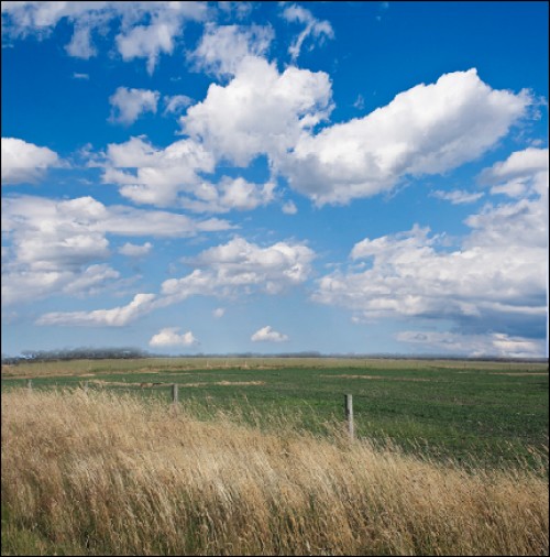 image 14