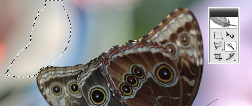image 23