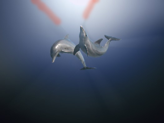 image 27