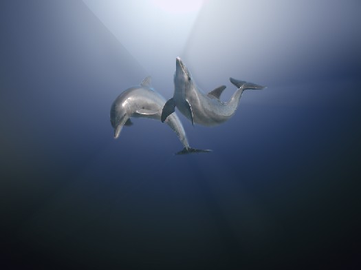 image 26