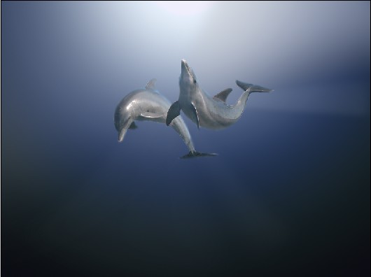 image 24