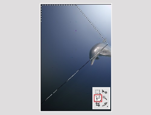 image 22
