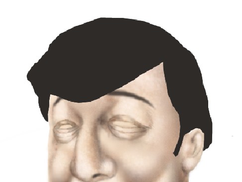 image 15