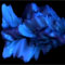 Material Image